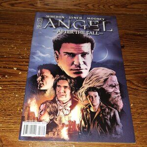 Angel: After the Fall #14 (IDW Comics, 2008)  Cover Variant B